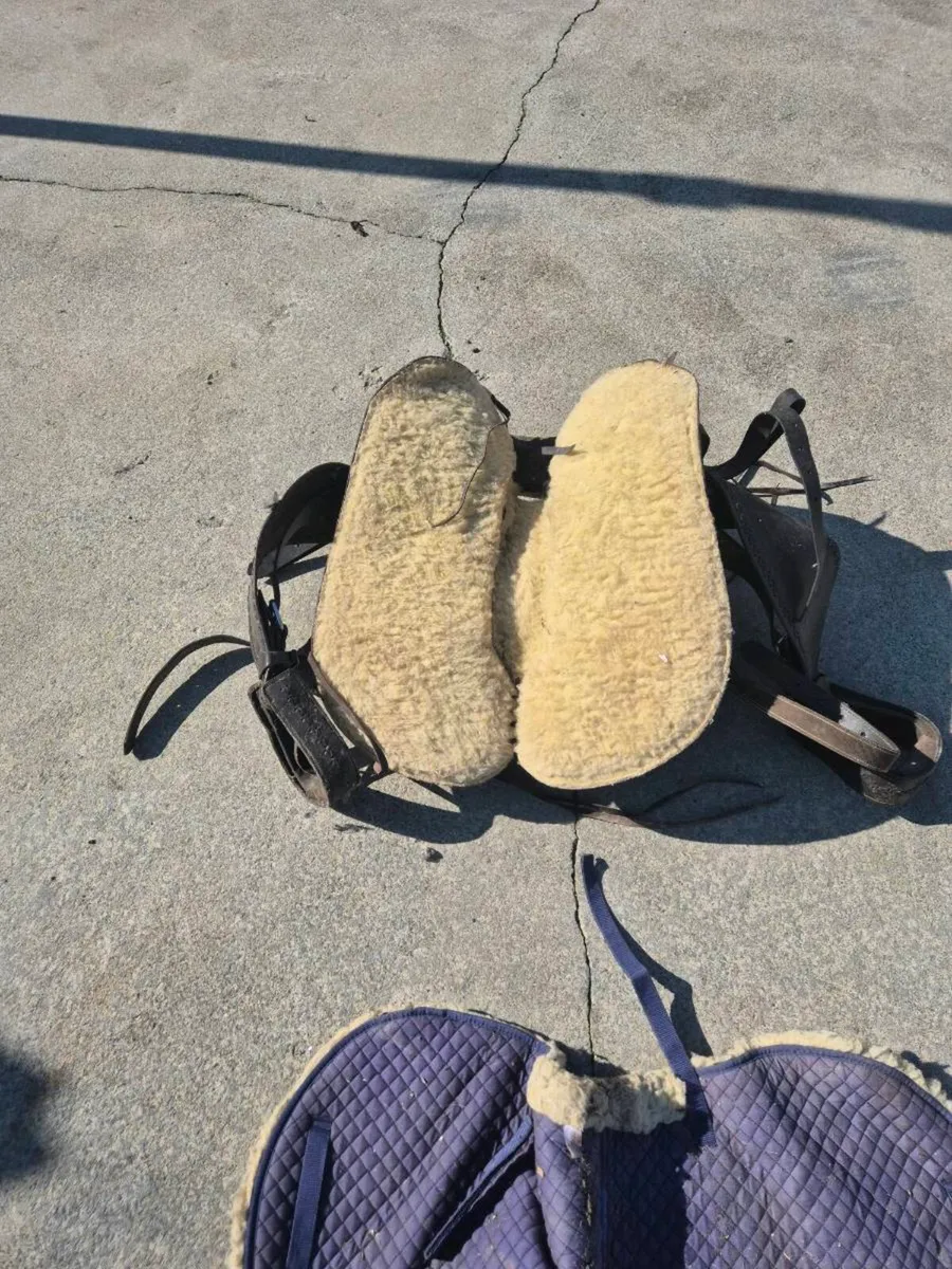 Saddle - Image 3