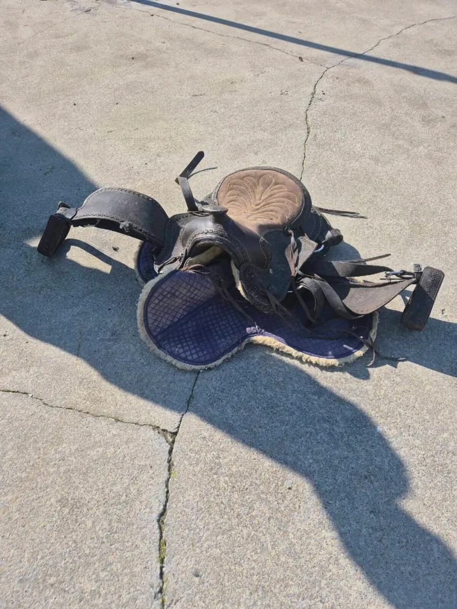 Saddle - Image 1