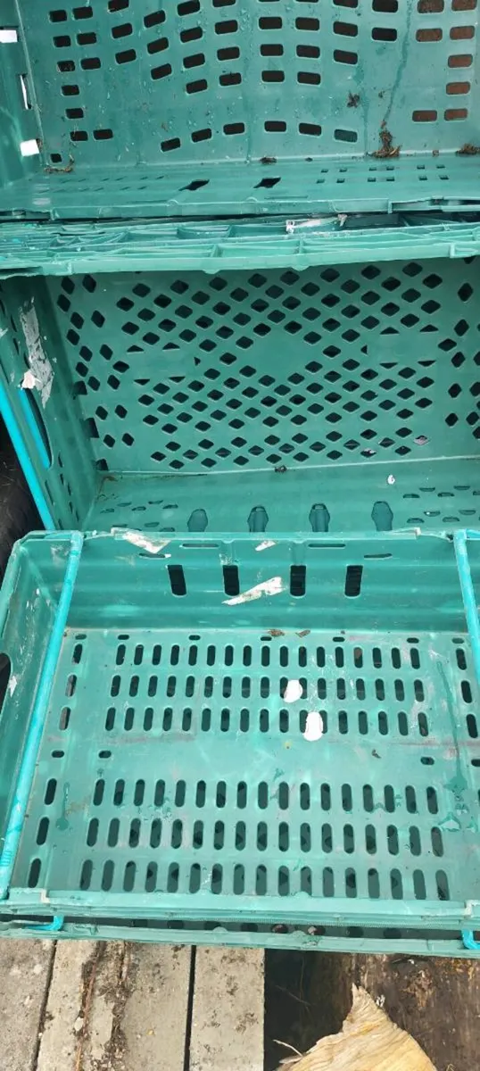 Plastic stacking crates - Image 2