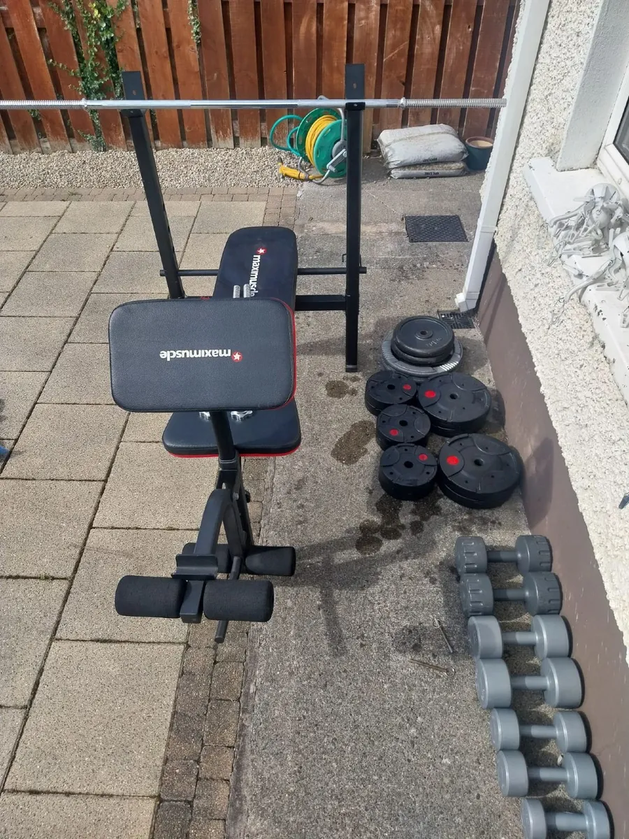 Multi-purpose Gym Bench & Equipment - Image 1