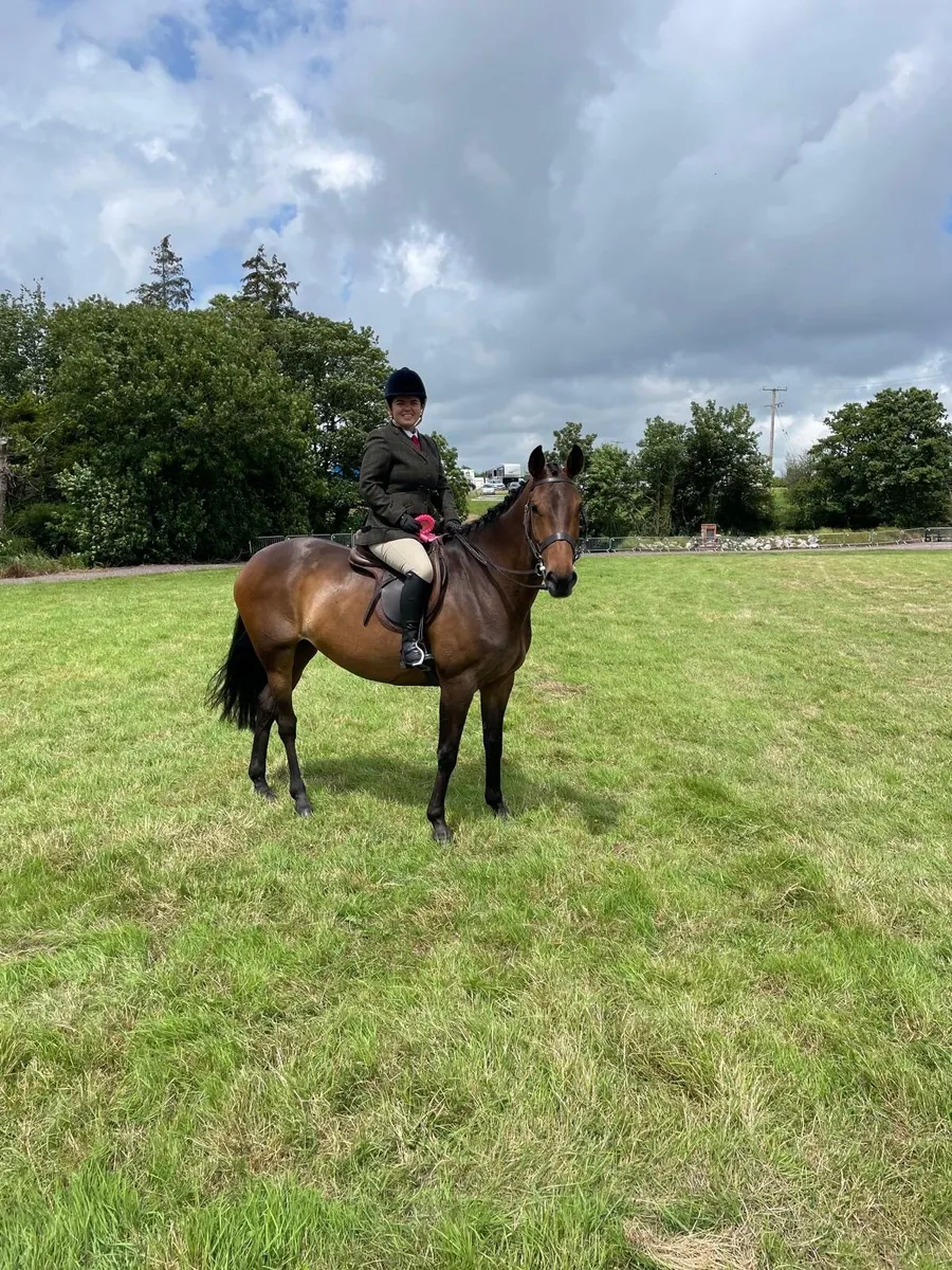 Broodmare Potential very well related. - Image 3
