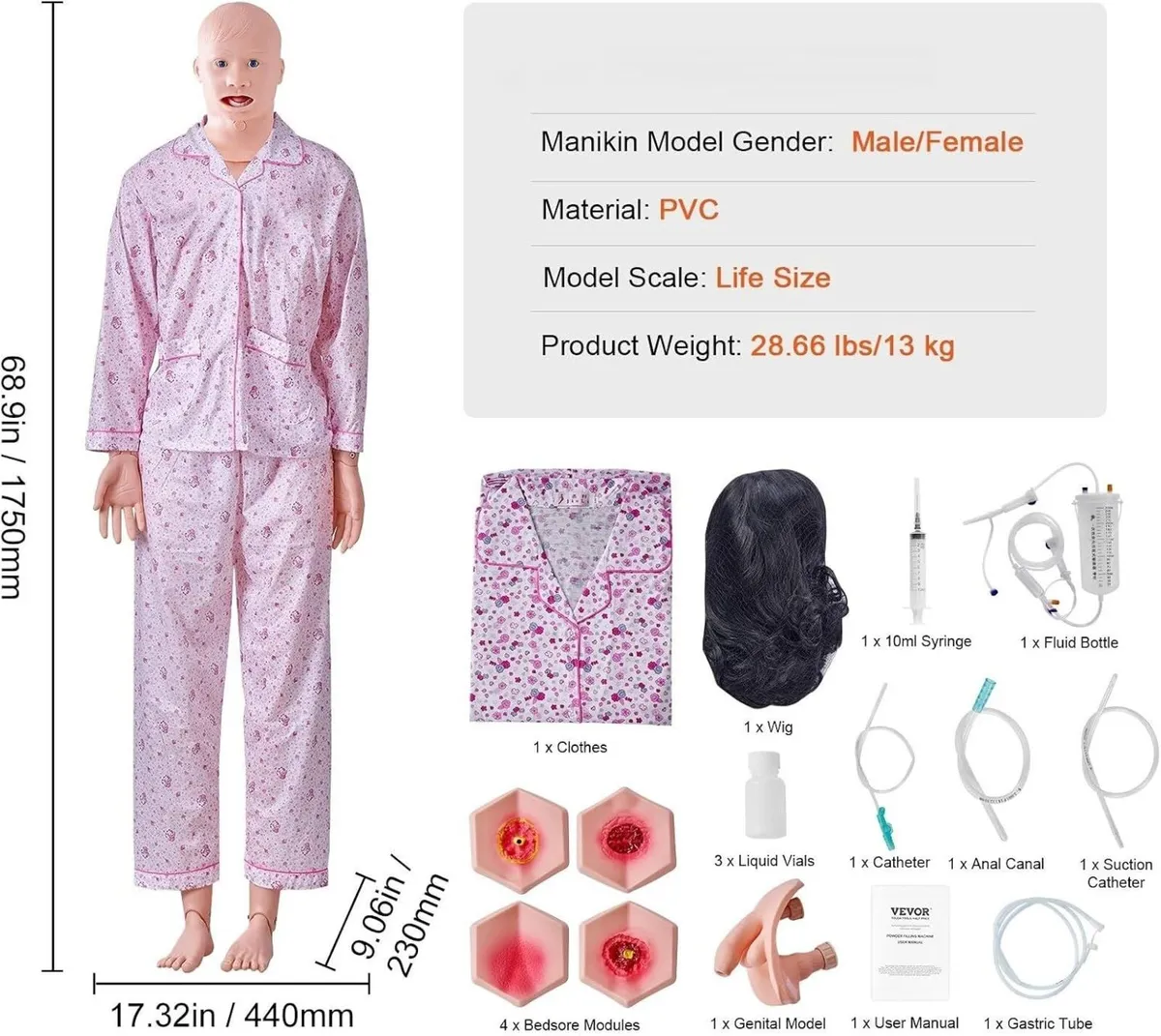 175cm Nursing Training Manikin Male & Female - Image 3
