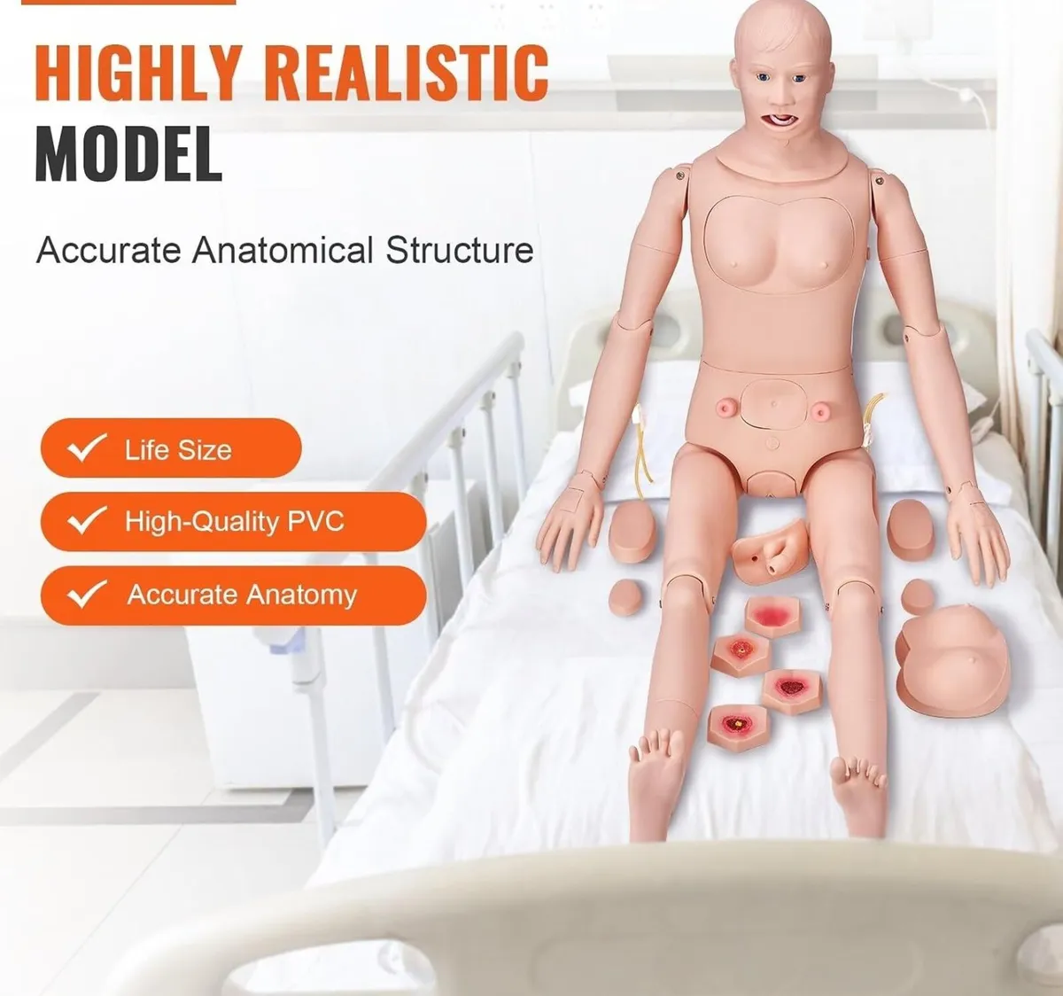 175cm Nursing Training Manikin Male & Female - Image 4