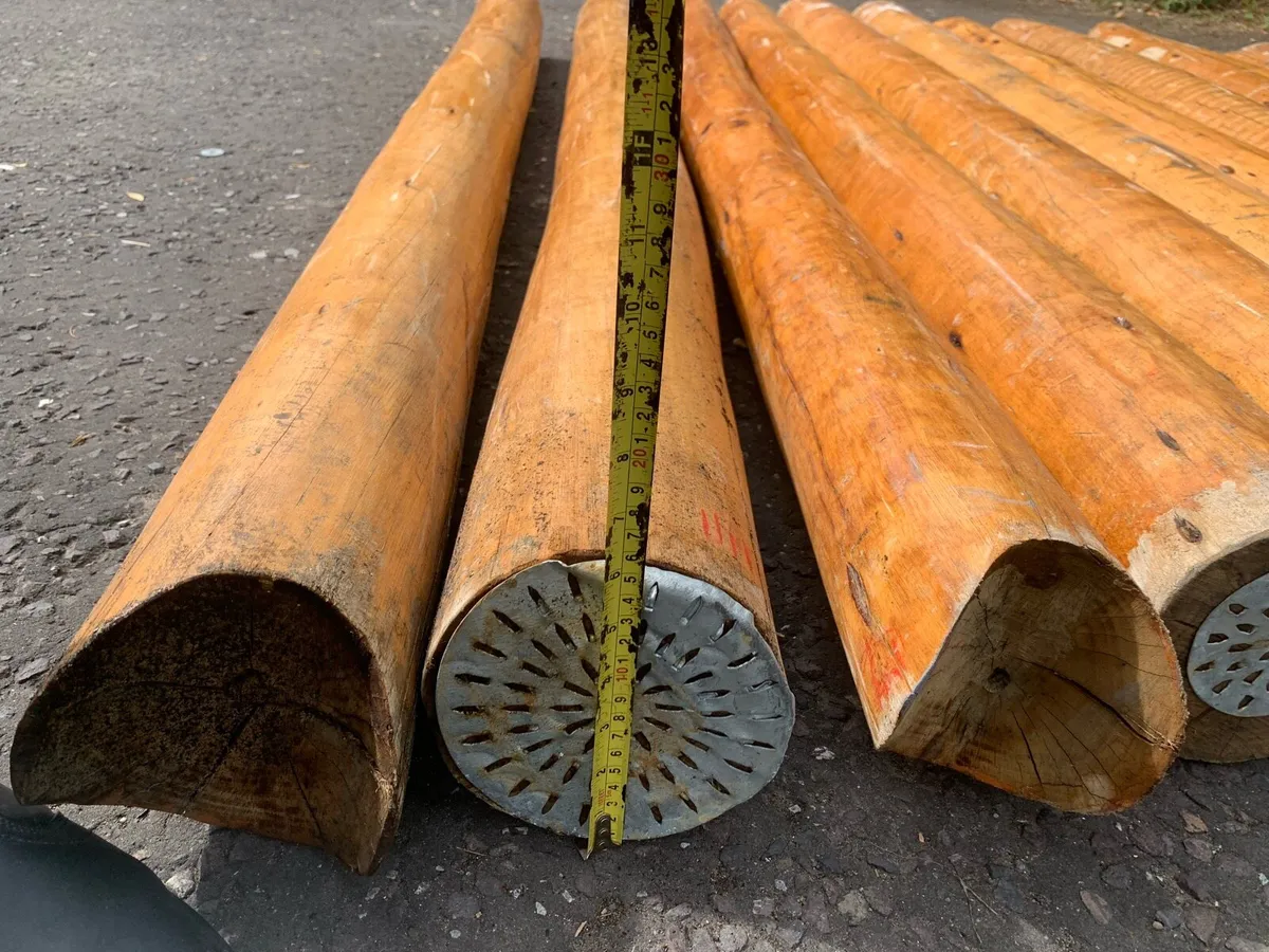 Cedar logs - Image 4
