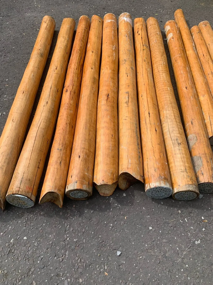 Cedar logs. - Image 1