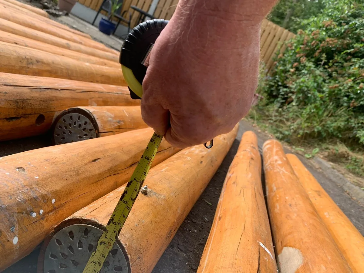 Cedar logs. - Image 3