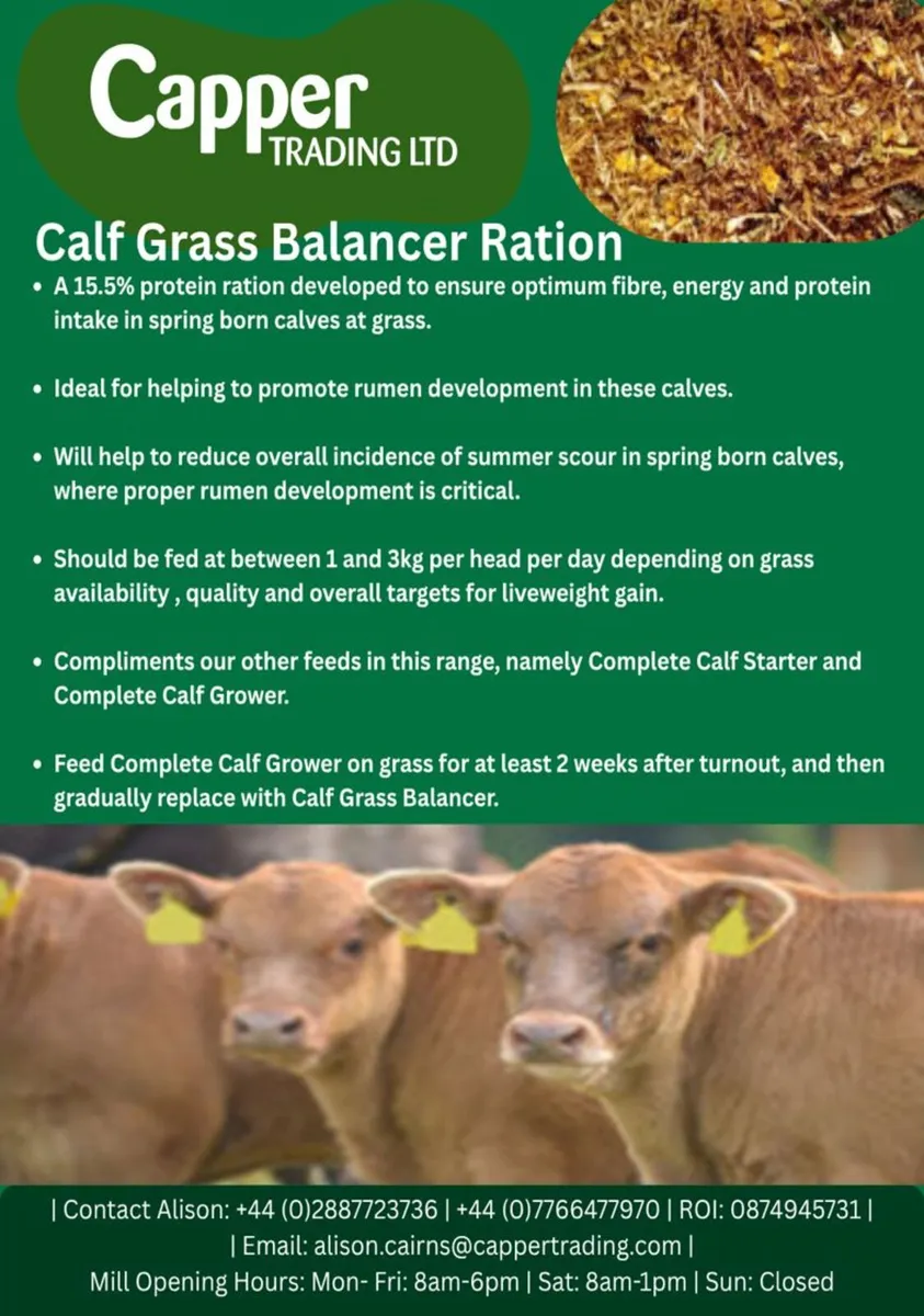 Calf Grass Balancer / Feed / Meal - Image 3