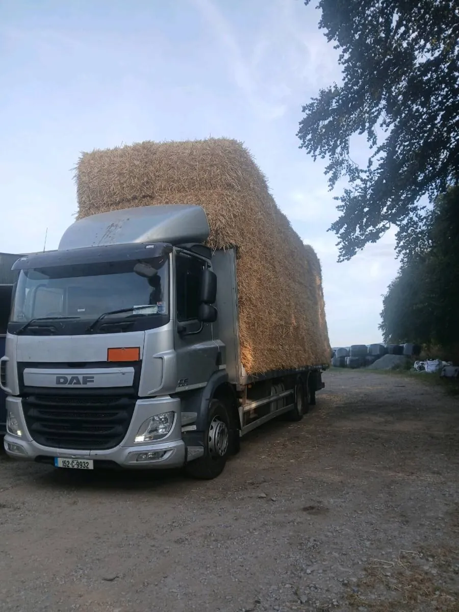 Round and square barley straw delivered - Image 2