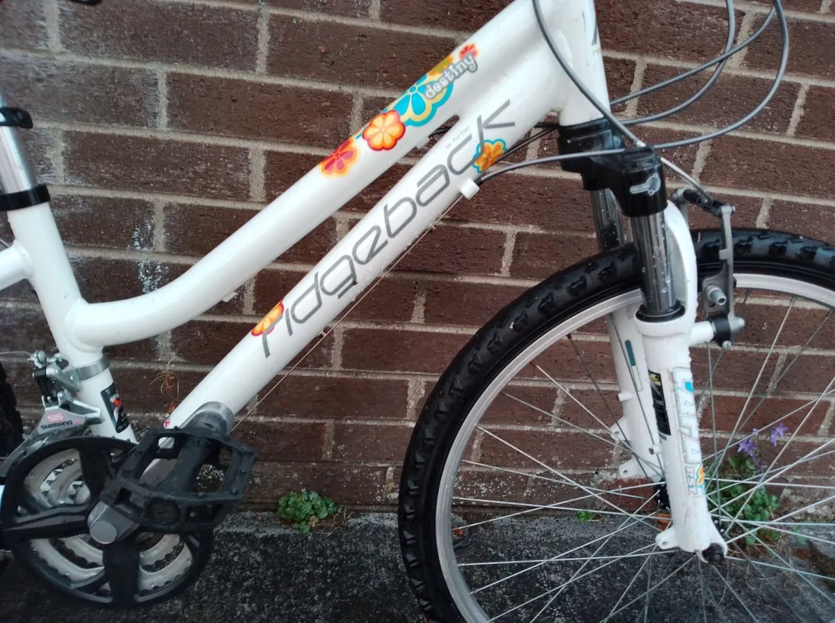 Girls bicycle - Image 4