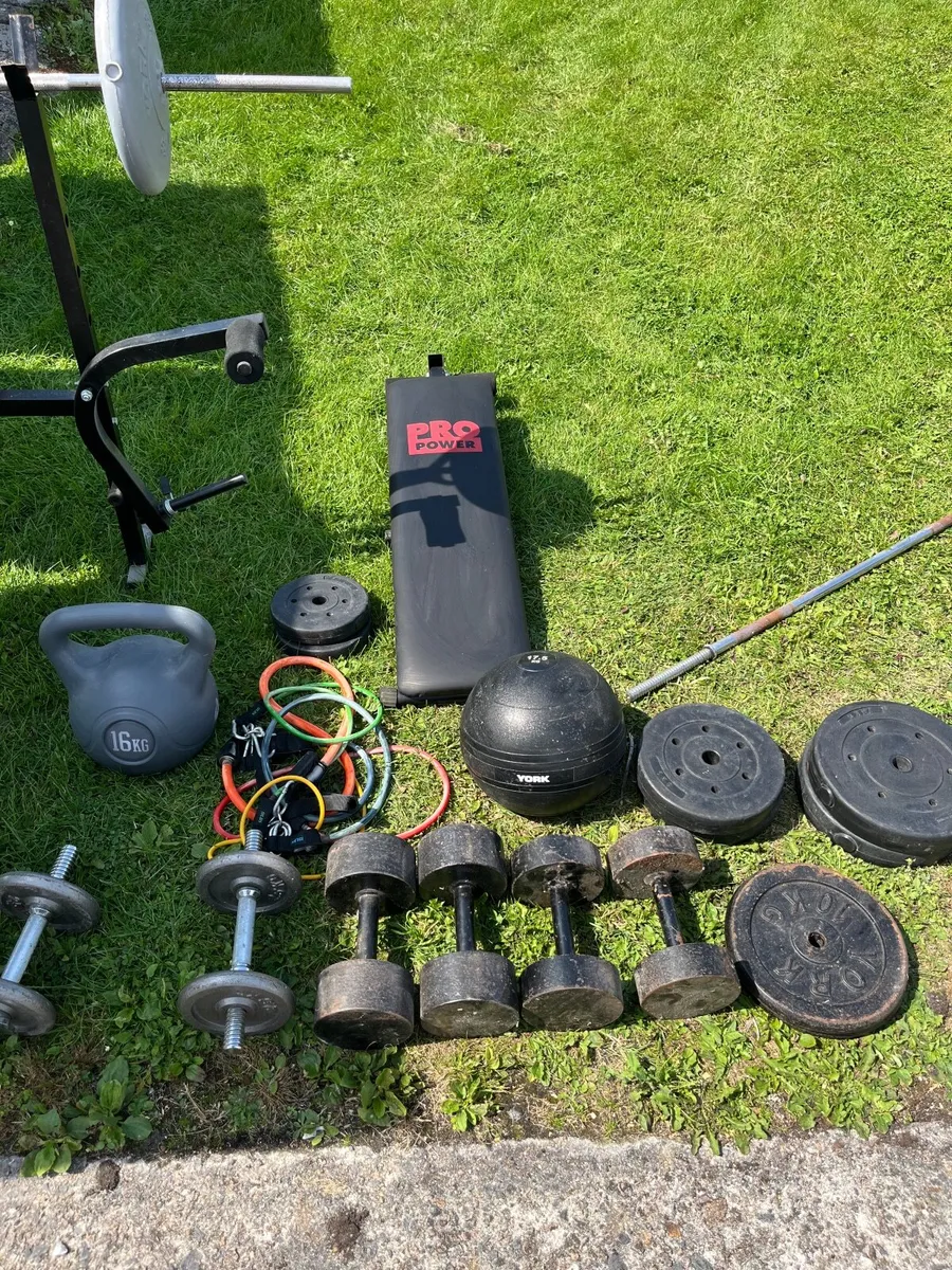 Home Gym Equipment Bundle – Weights, Bench, Squat - Image 3