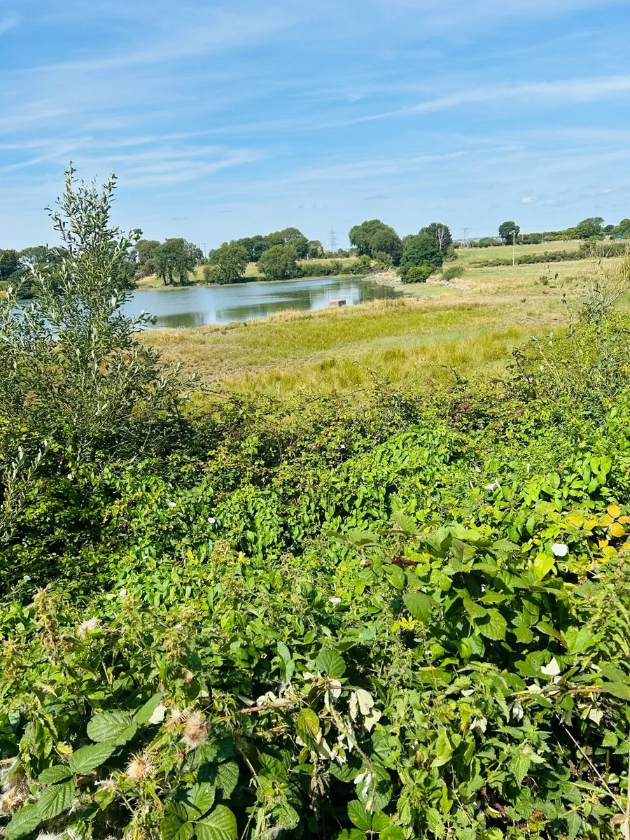 Plot of land for modular home - Image 2
