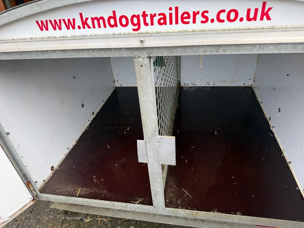 Factory built dog trailer - Image 2