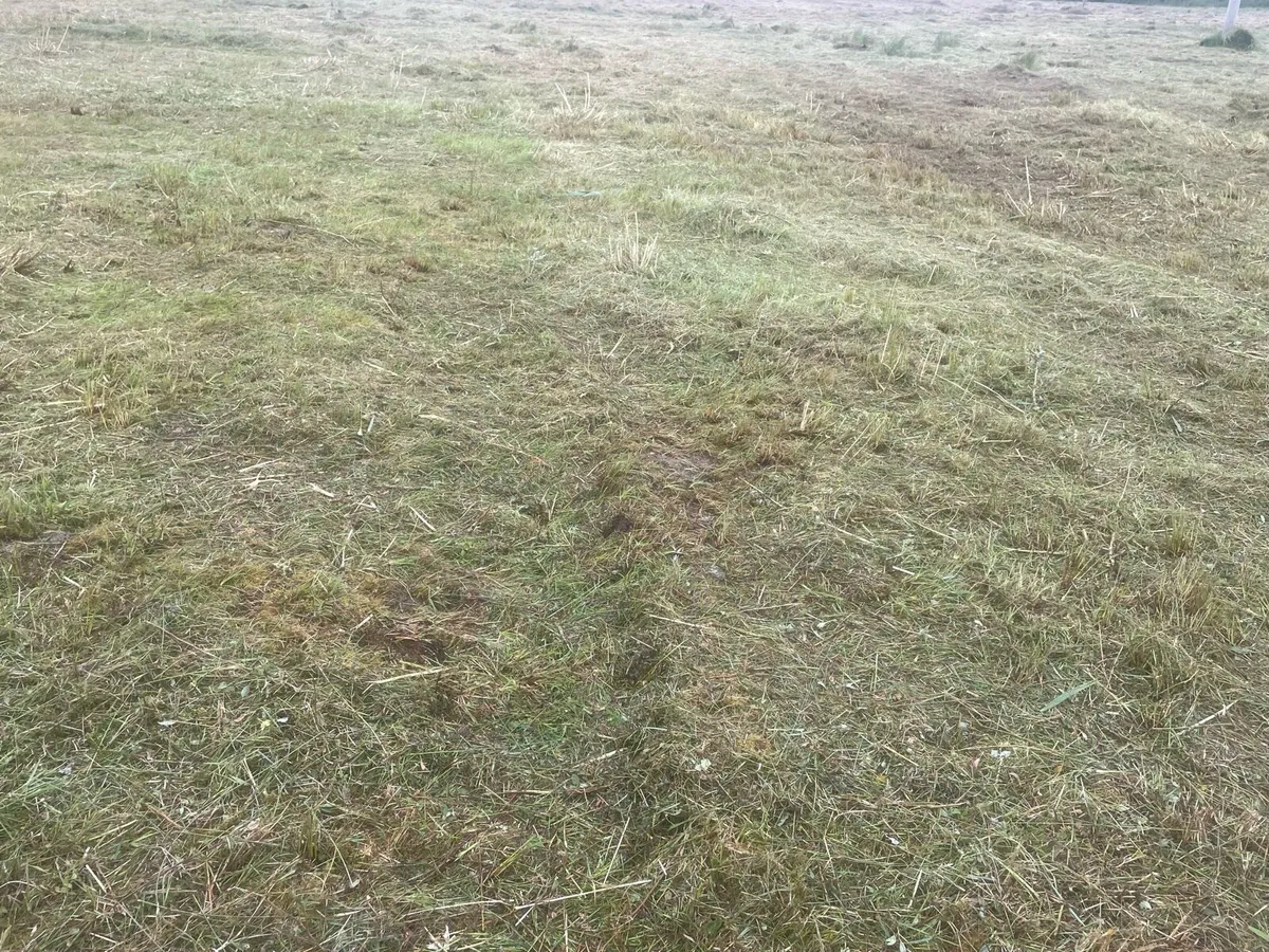 Grass cutting over grown areas - Image 1