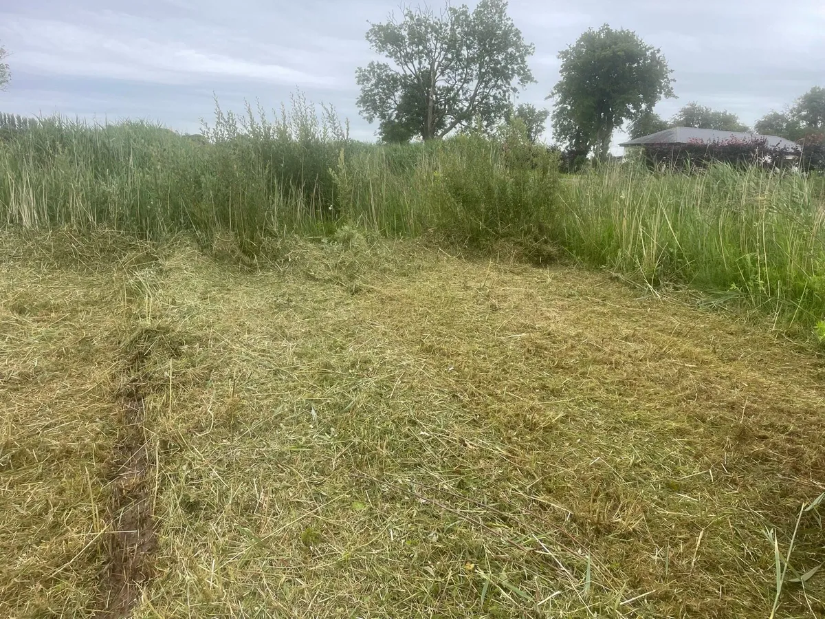 Grass cutting over grown areas - Image 2