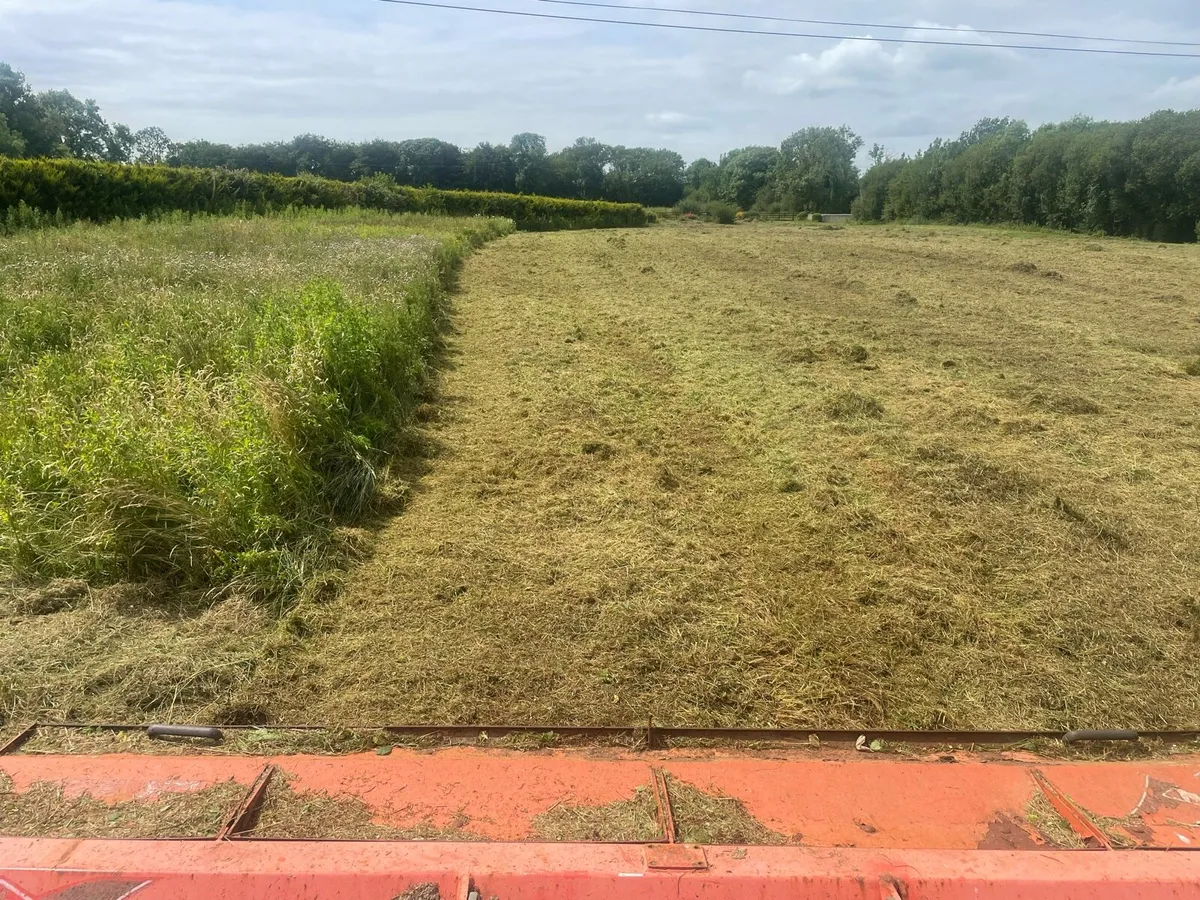 Grass cutting over grown areas - Image 3