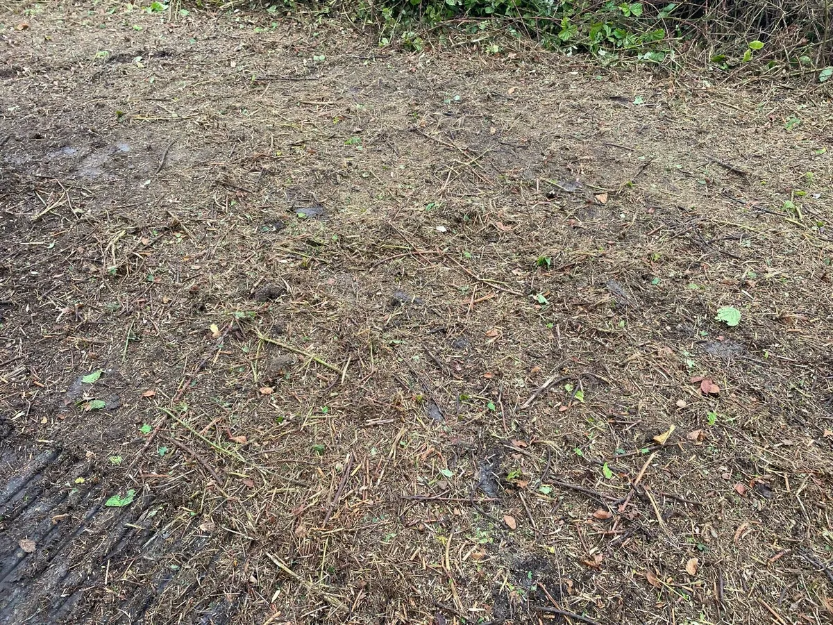Grass cutting over grown areas - Image 4