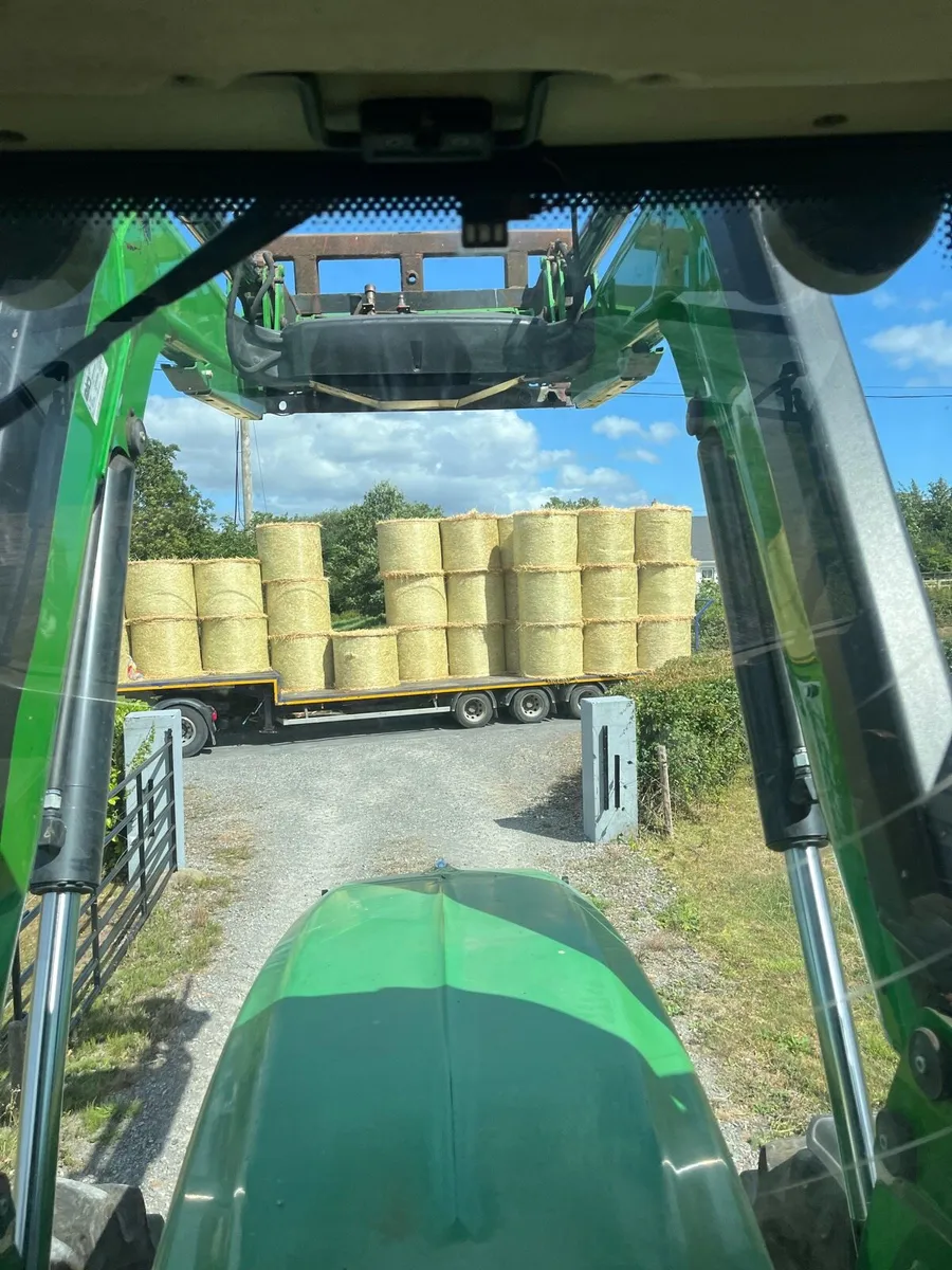 Top quality Barley Straw - Image 3