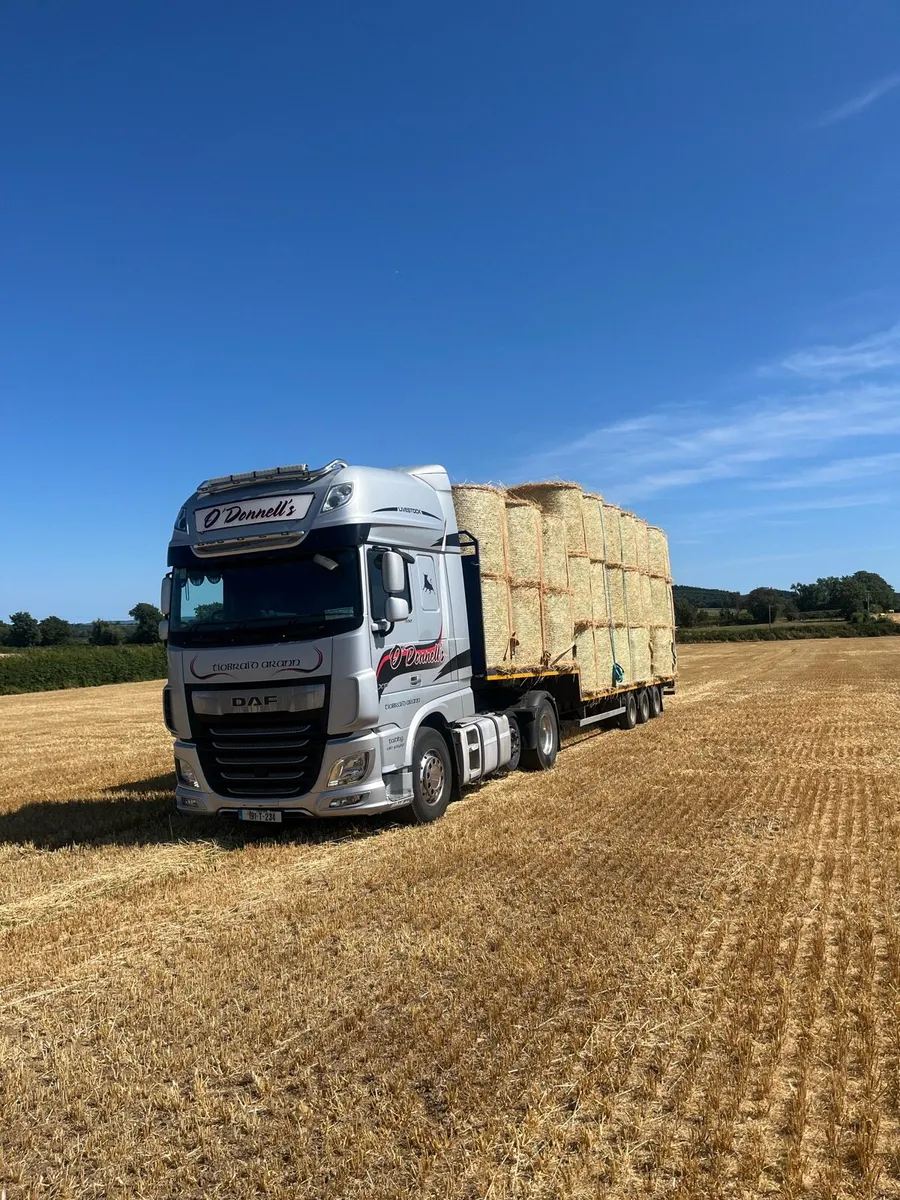 Top quality Barley Straw - Image 4