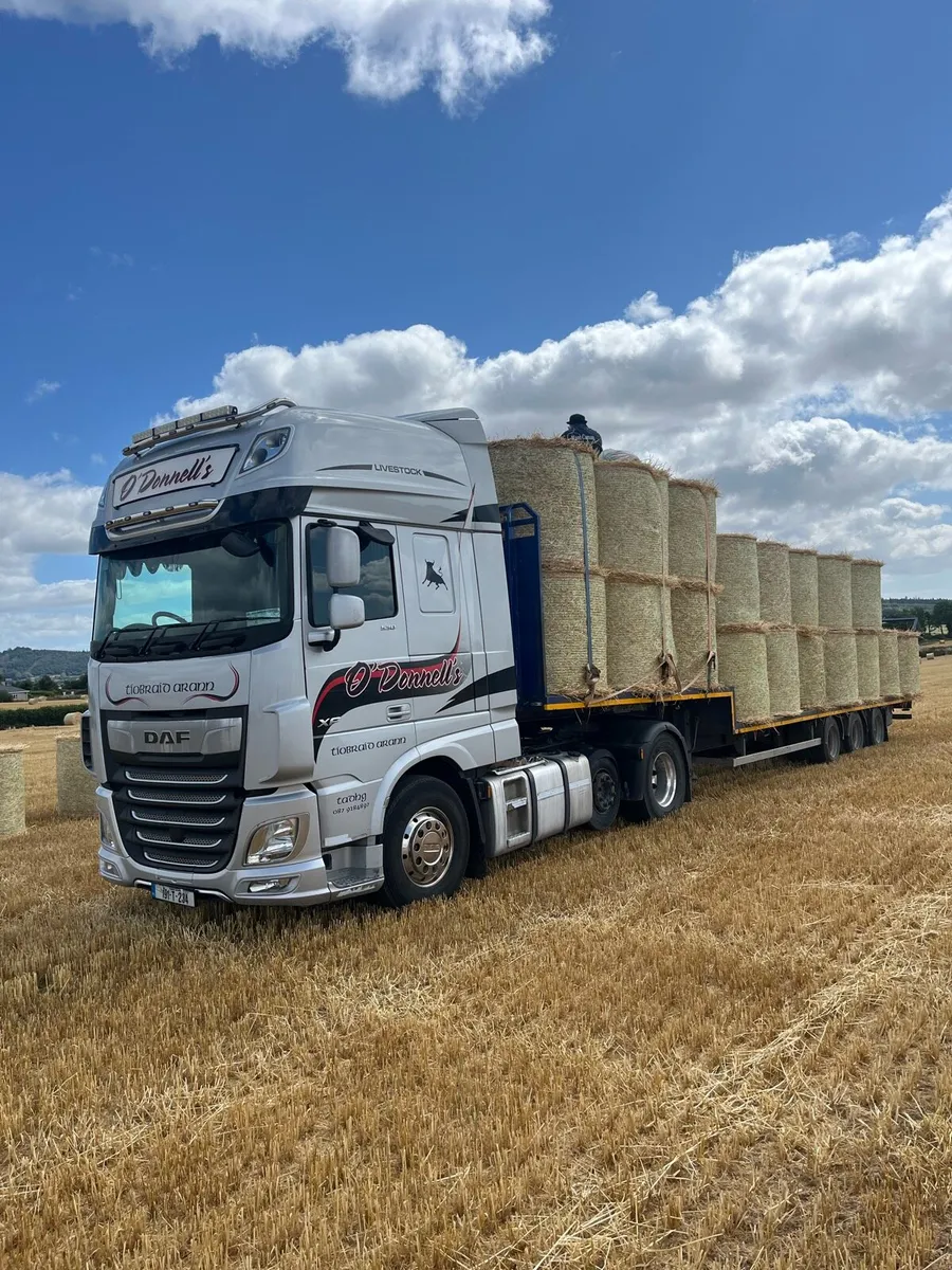 Top quality Barley Straw - Image 2