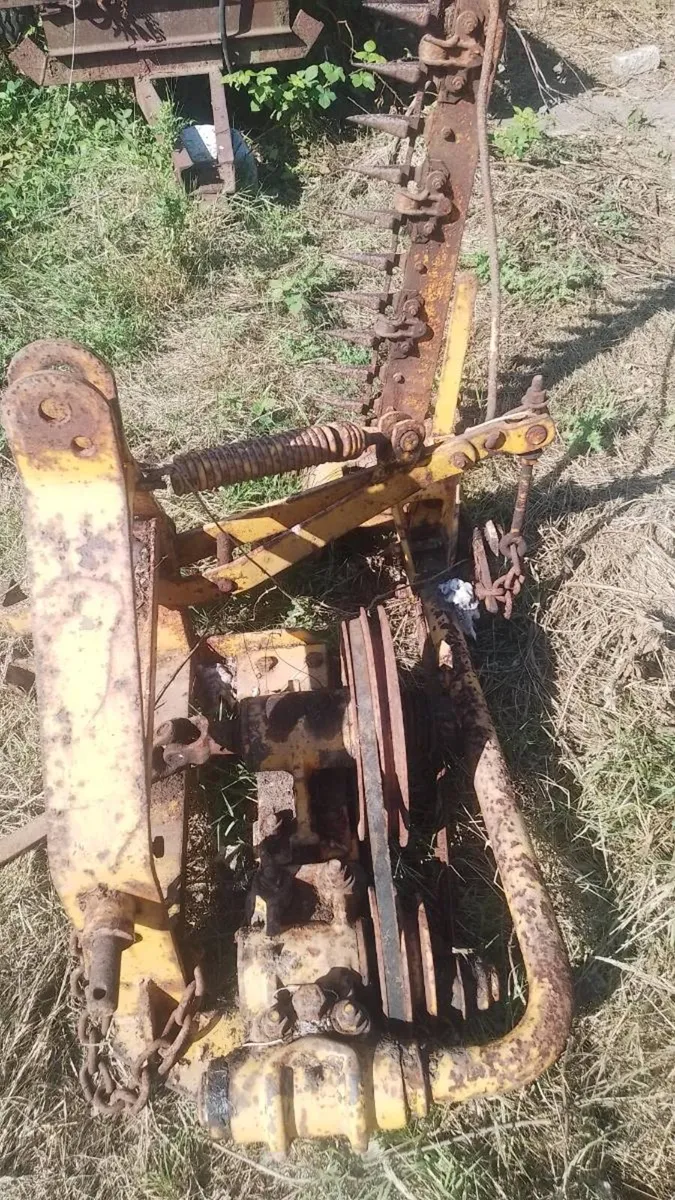 Hay mover - Image 2