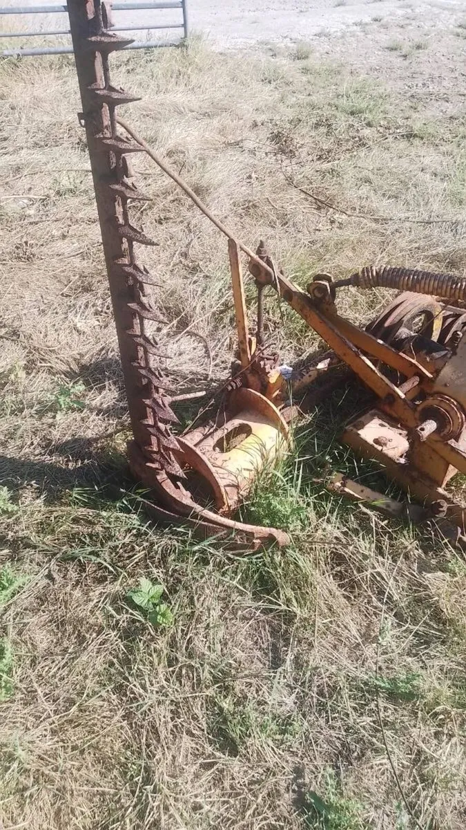 Hay mover - Image 3