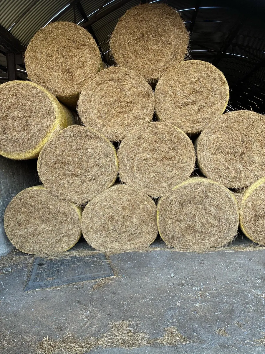 Hay for Sale