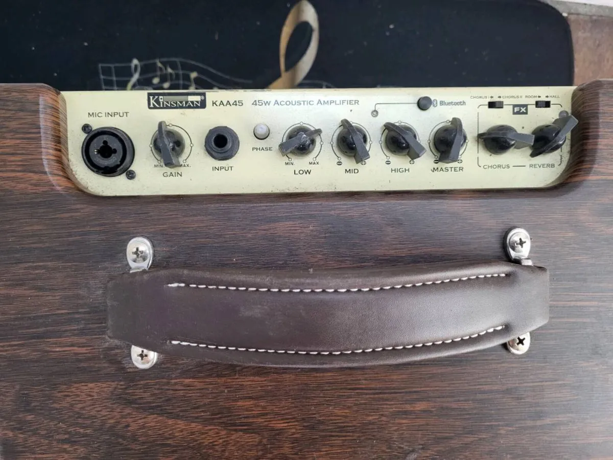 Kinsman Battery amp - Image 2