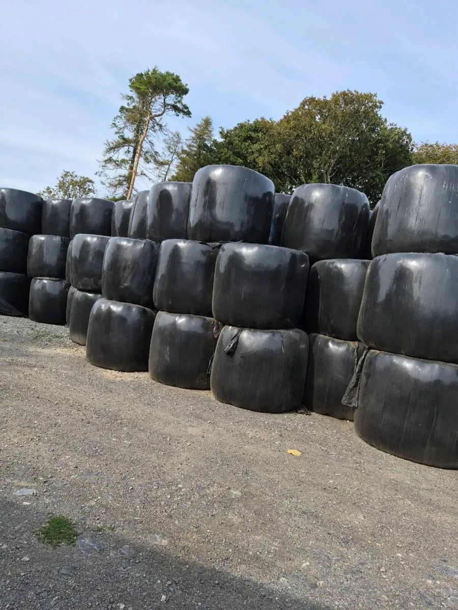 Organic Haylage for sale - Image 1