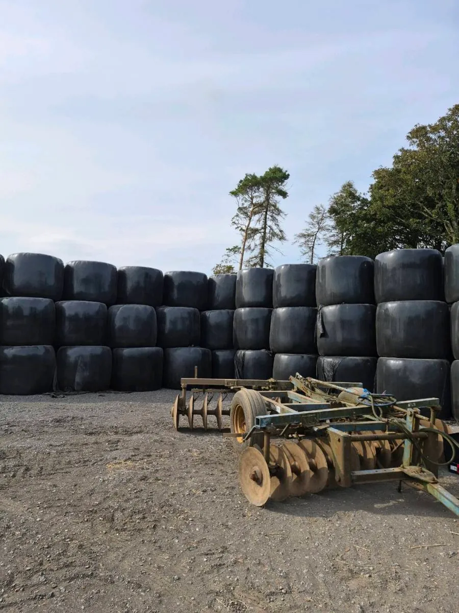 Organic Haylage for sale - Image 2