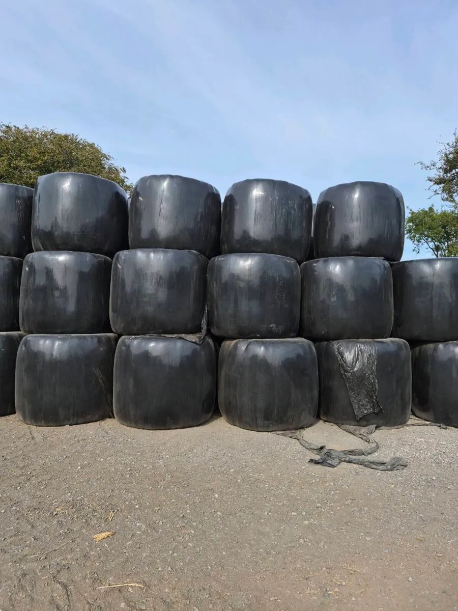 Organic Haylage for sale - Image 3