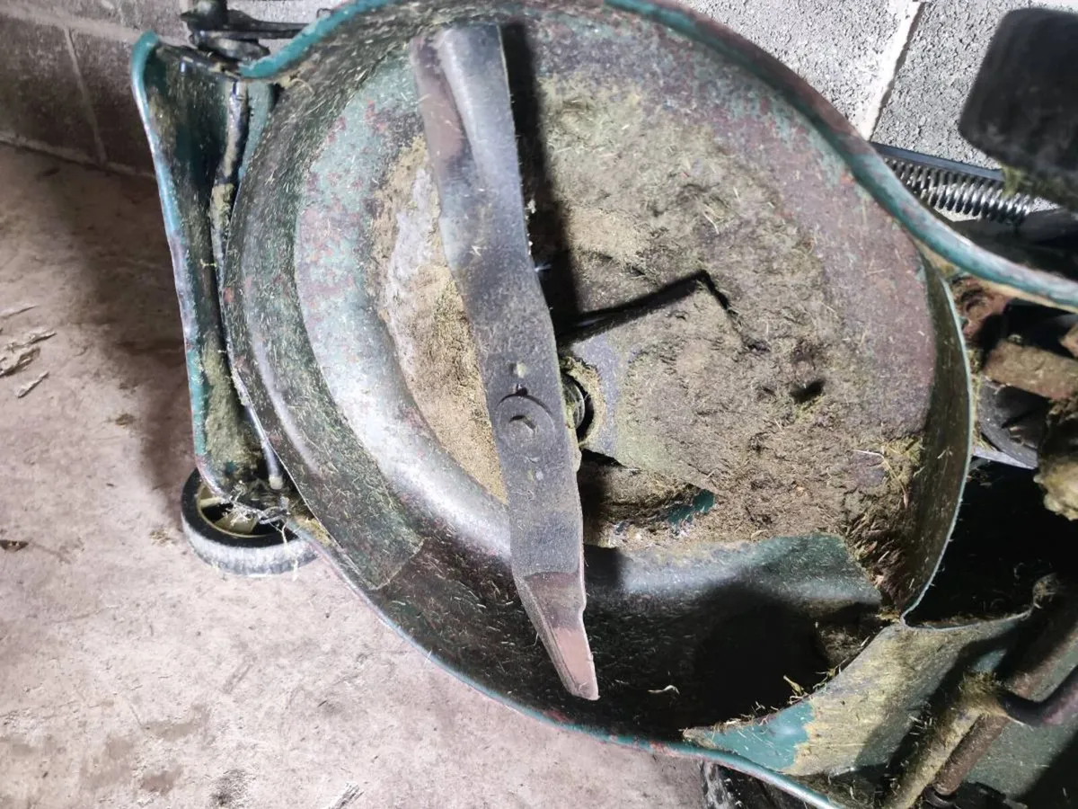 Pro lawn mover (Briggs and Stratton engine) - Image 3