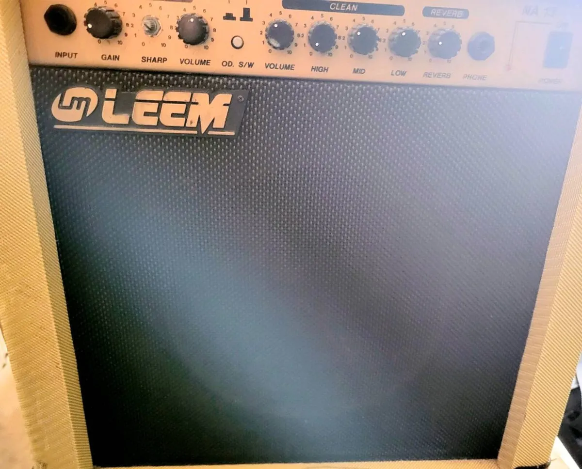 Leem guitar amp - Image 1