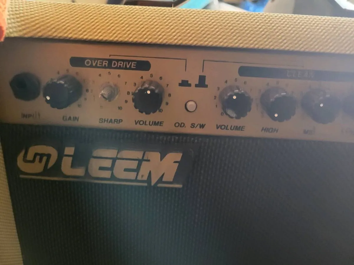 Leem guitar amp - Image 2