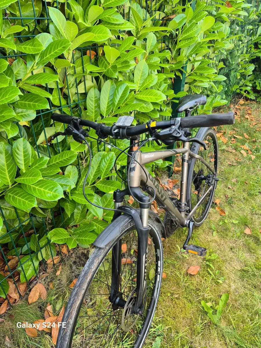 Giant Roam Bicycle - Image 3