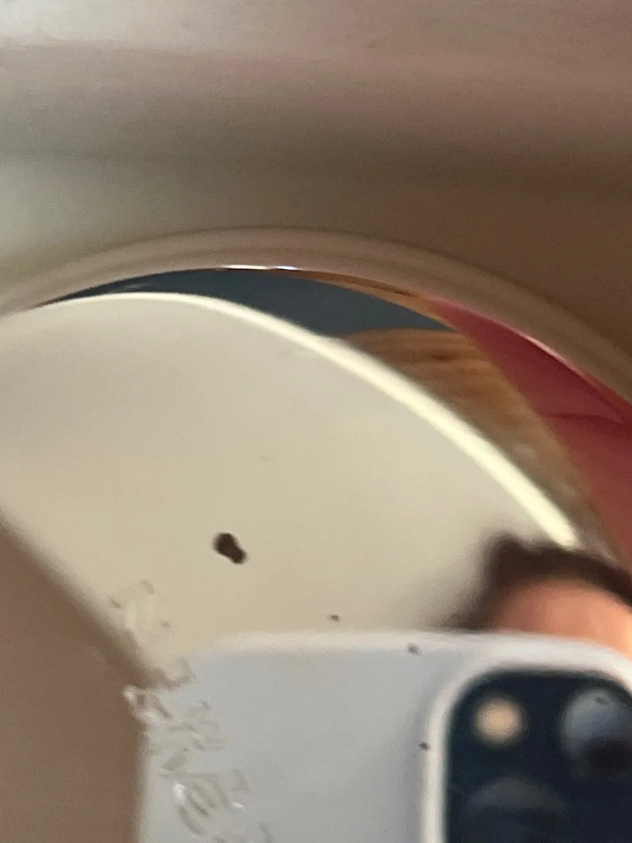 Compact mirror - Image 4