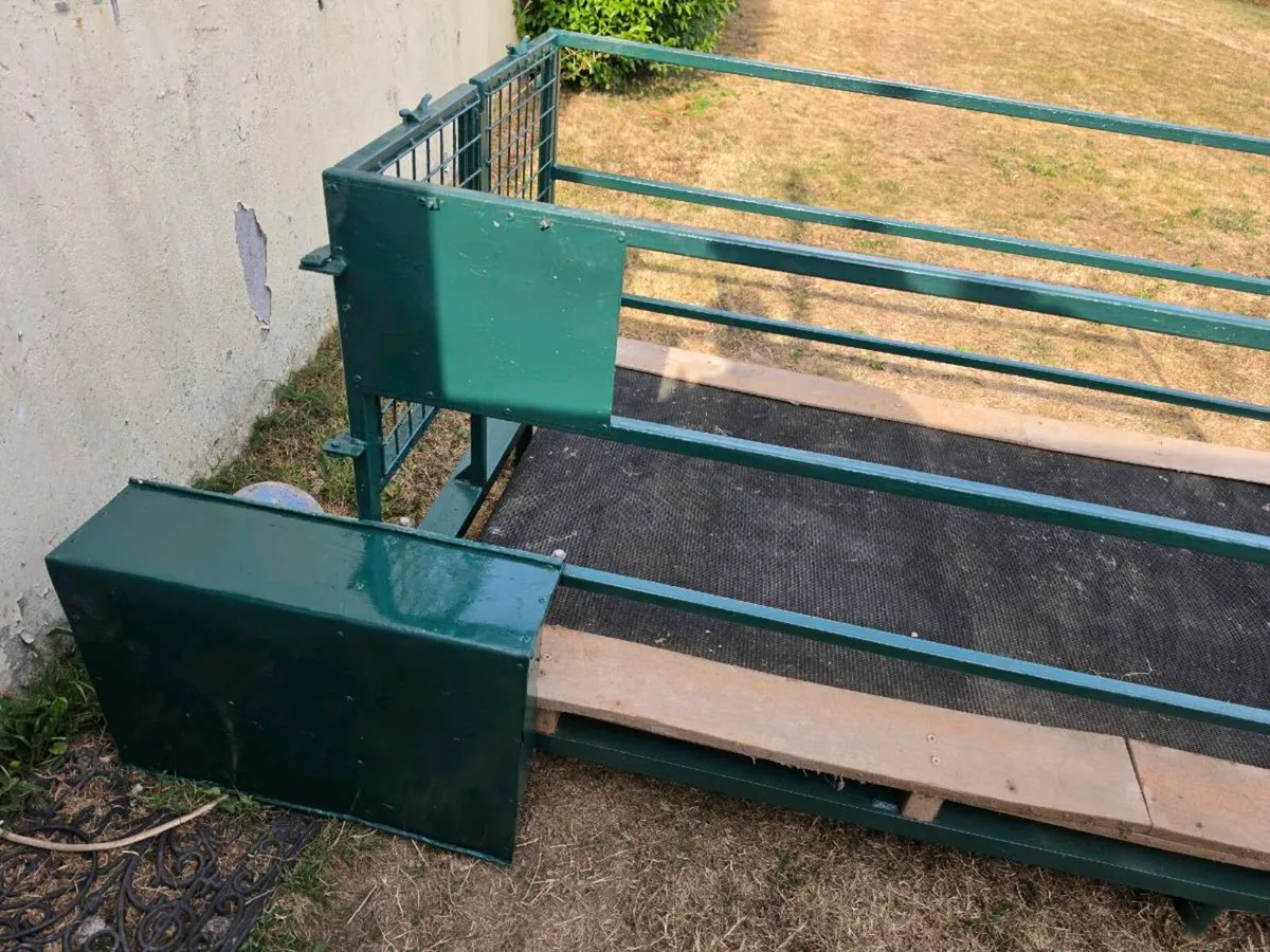 Dog treadmill - Image 2