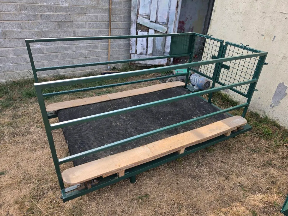 Dog treadmill - Image 1