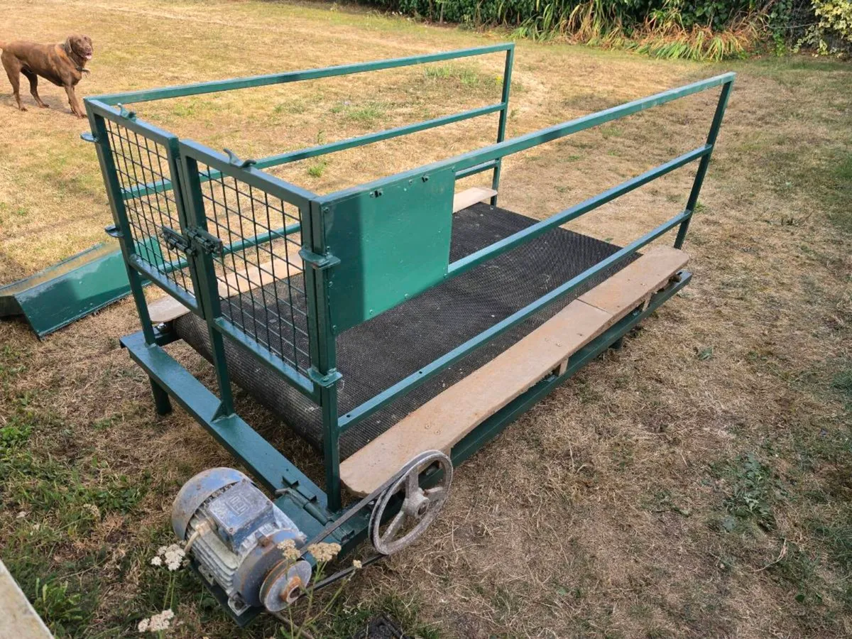 Dog treadmill - Image 4