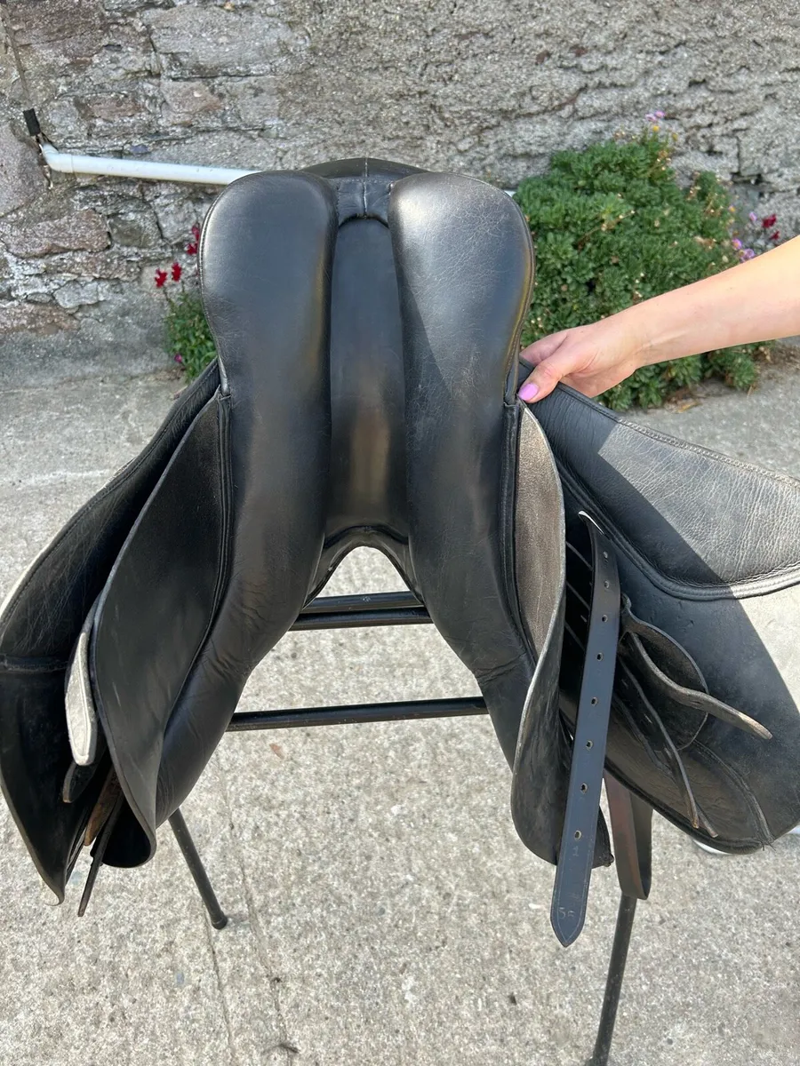 17 ‘ Cob Saddle and Bridle For Sale - Image 4