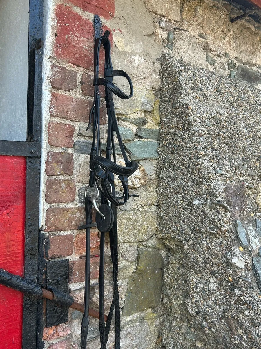 Cob Bridle For Sale - Image 2