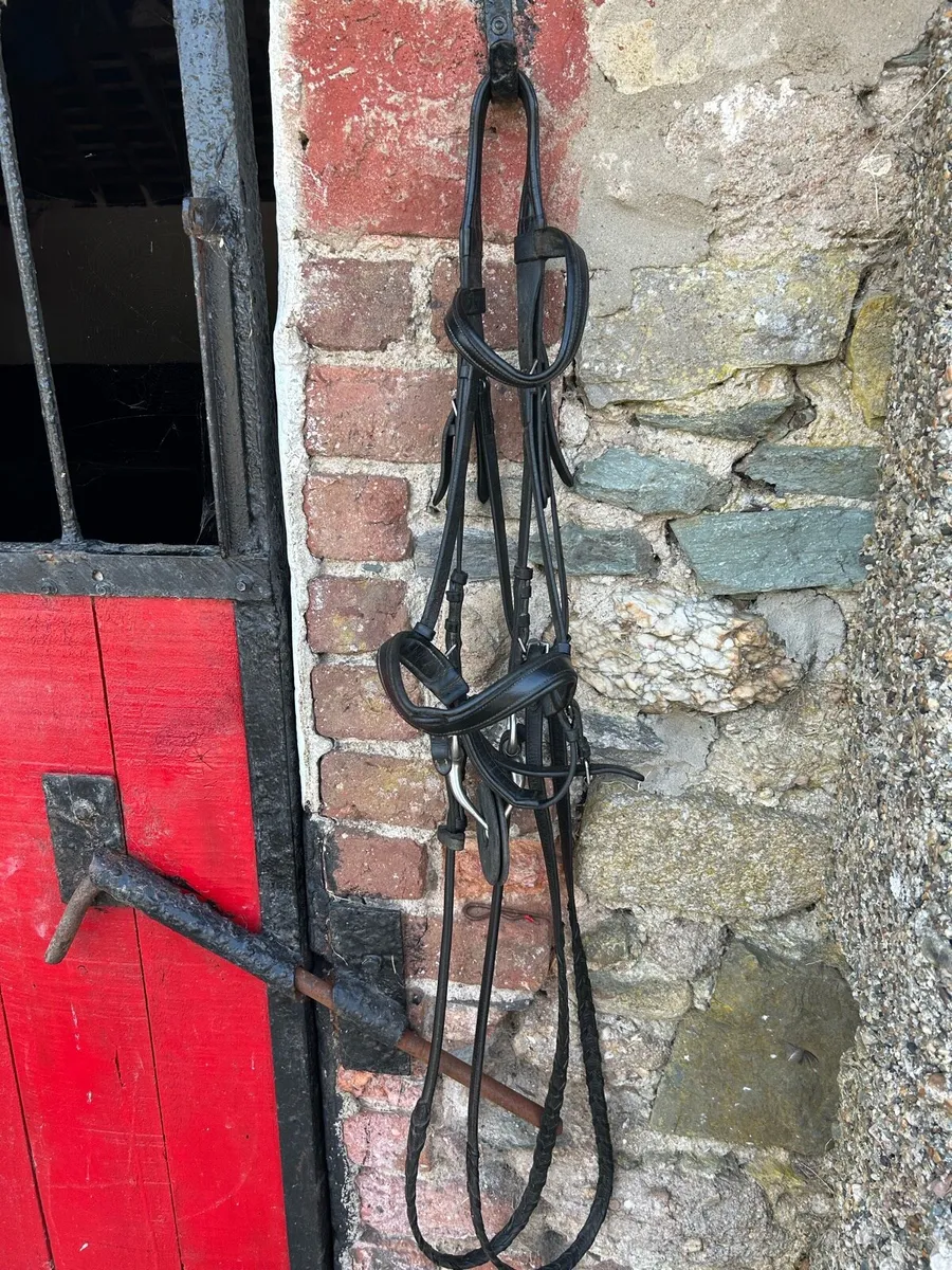 Cob Bridle For Sale - Image 1