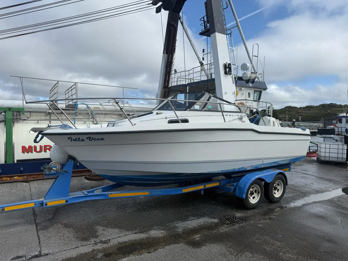 Bayliner Trophy - Image 2