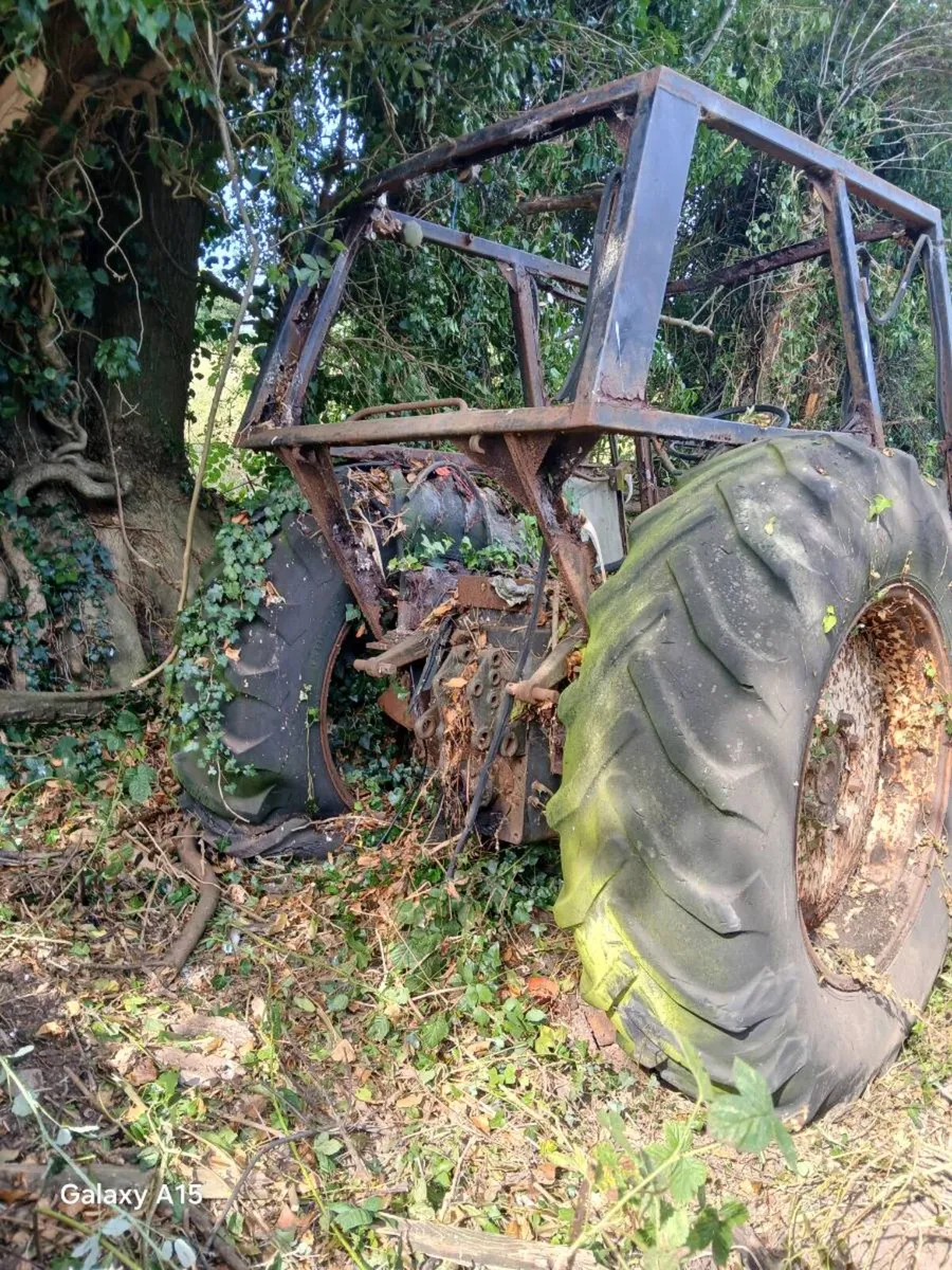 Zetor Crysral. - Image 4