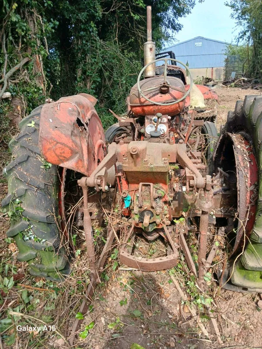 Nuffield 1060. - Image 2
