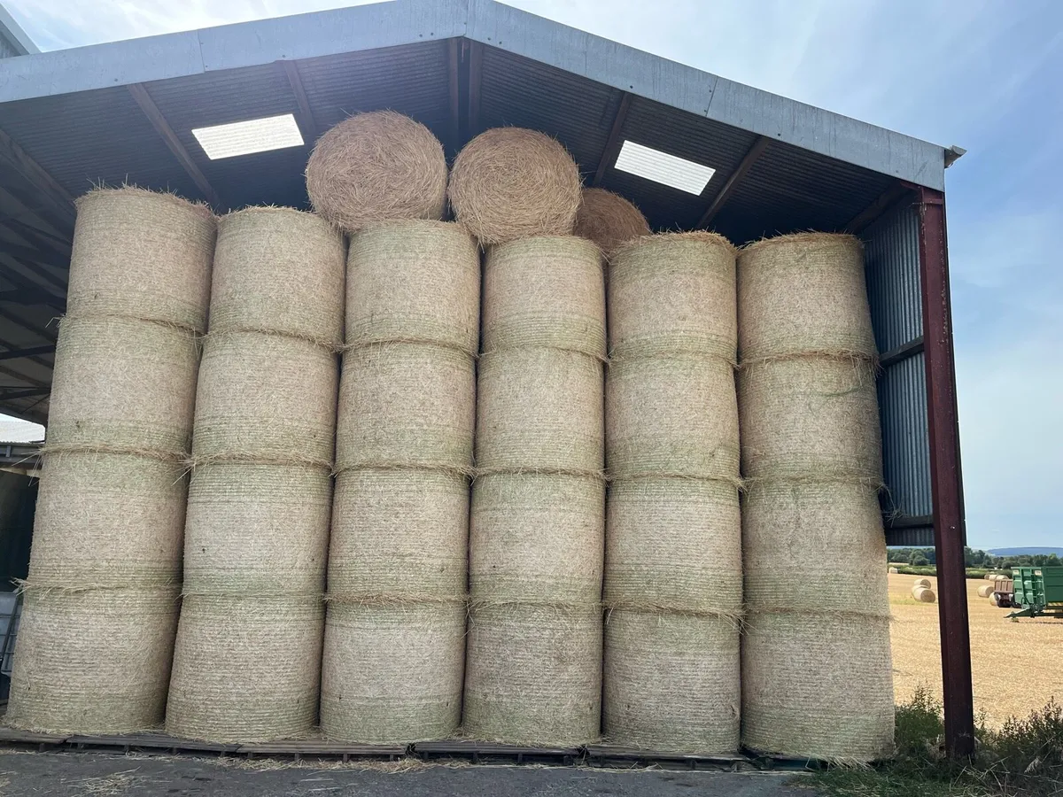 Barley straw and hay for sale - Image 2