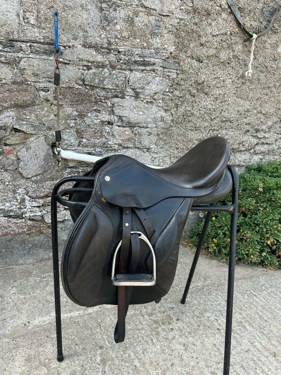 17 ‘ Cob Saddle and Bridle For Sale - Image 1