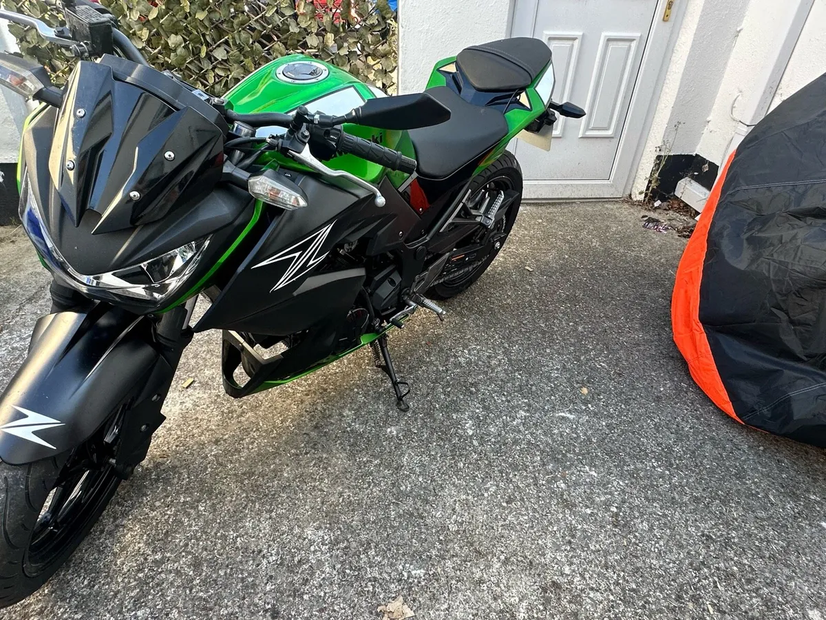 Kawasaki Z300 ABS A2 compliant - Image 2