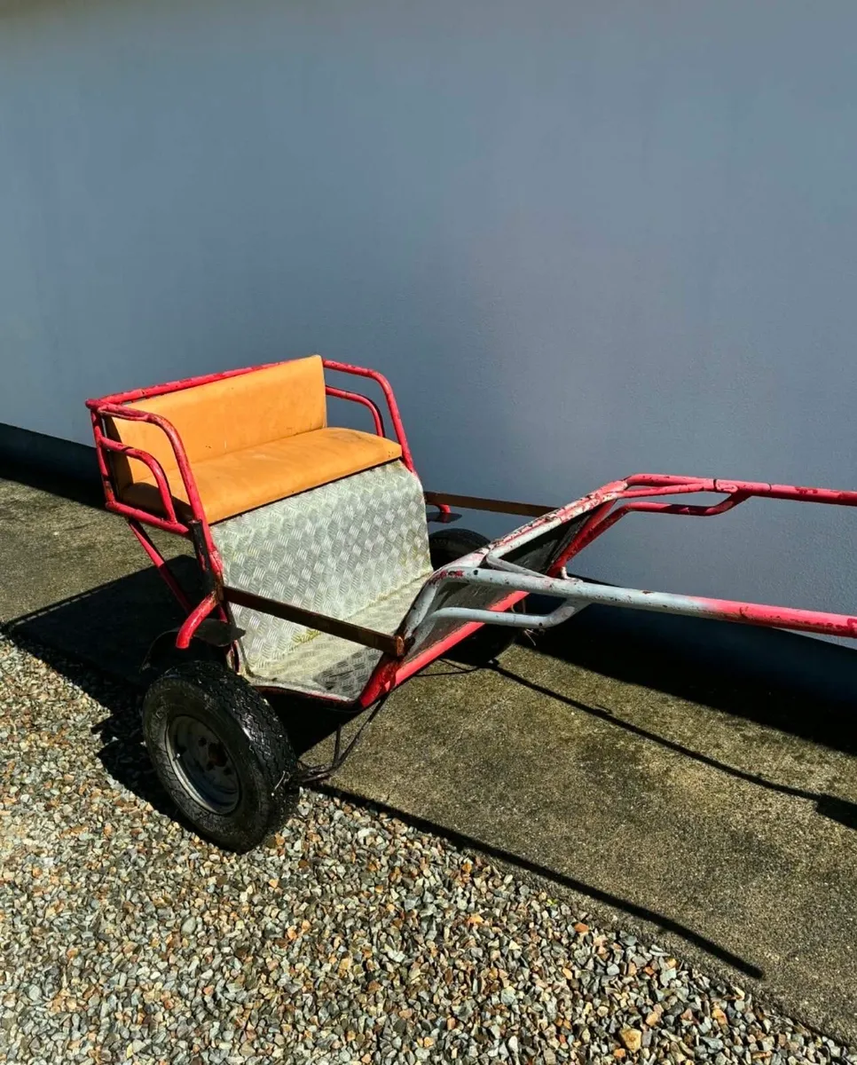 Cart and Harness - Image 1