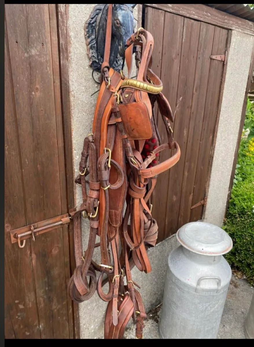 Cart and Harness - Image 4