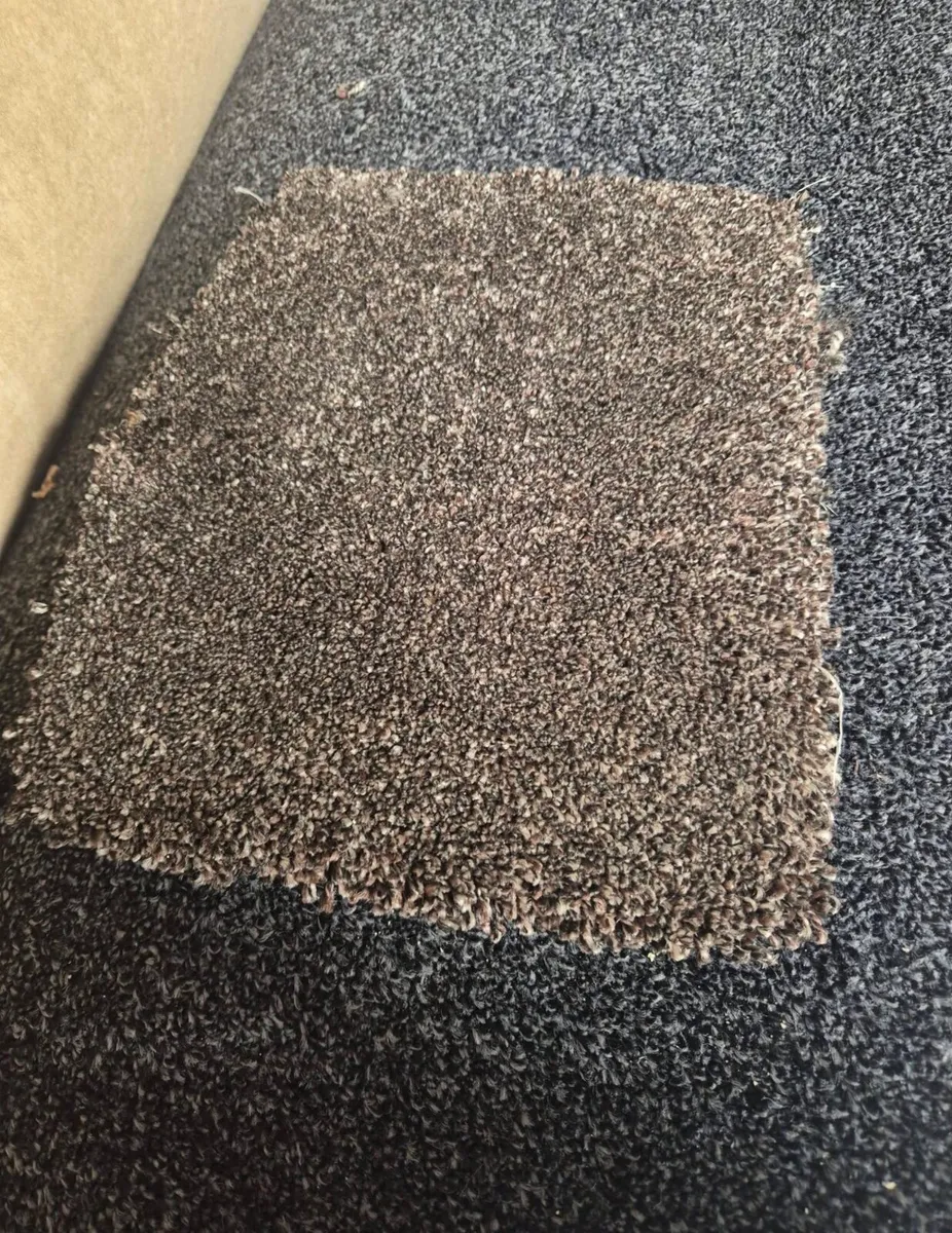 Carpet available for supply and fit - Image 2